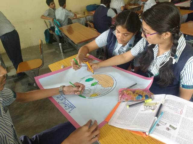 Activity Gallery